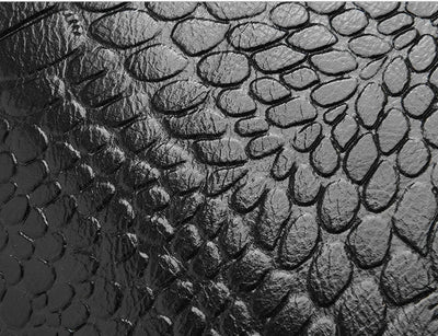 CROCO, l'incontournable